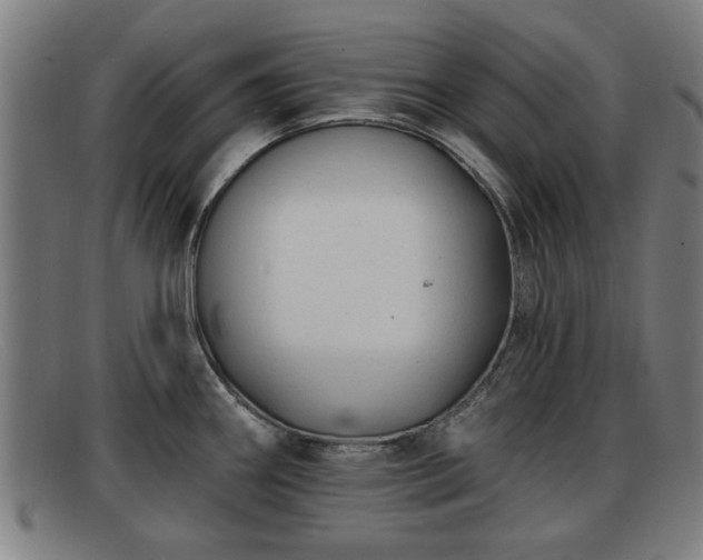 X0000091851290200709121303