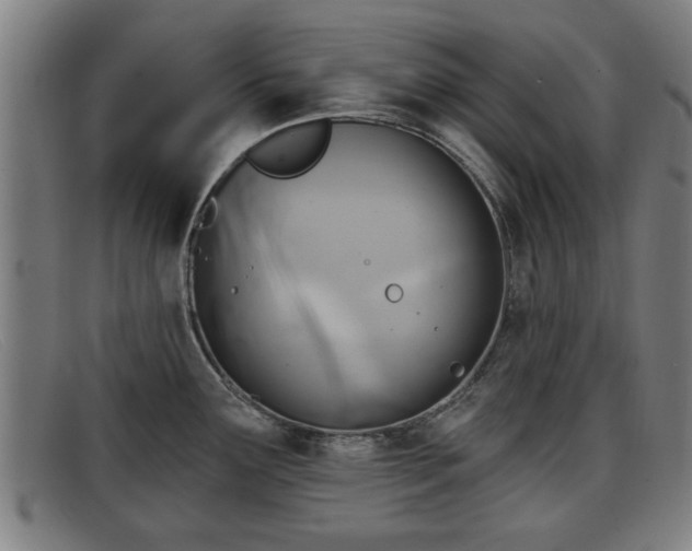 X0000091851291200709121303