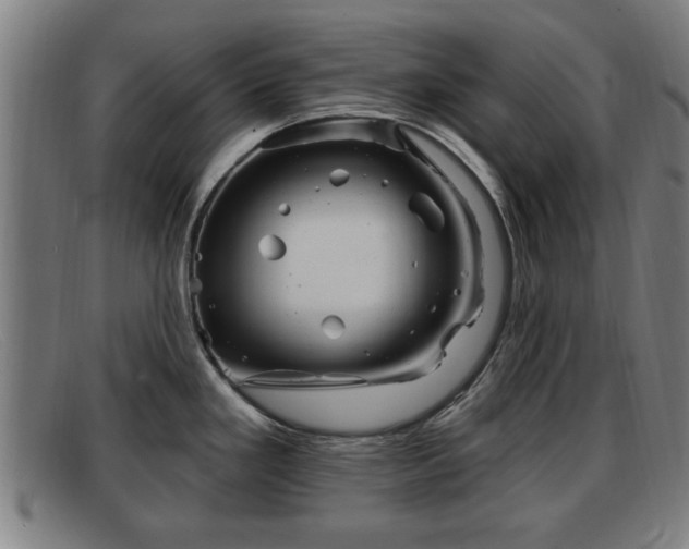 X0000091851293200709121303