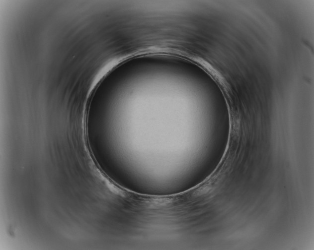 X0000091851294200709121303