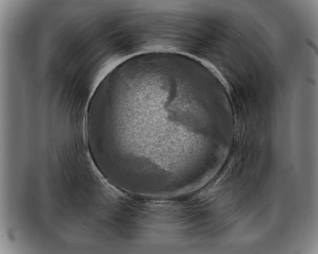 X0000091851295200709121303