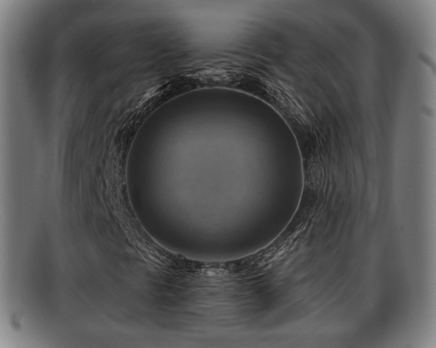 X0000091851297200709121303