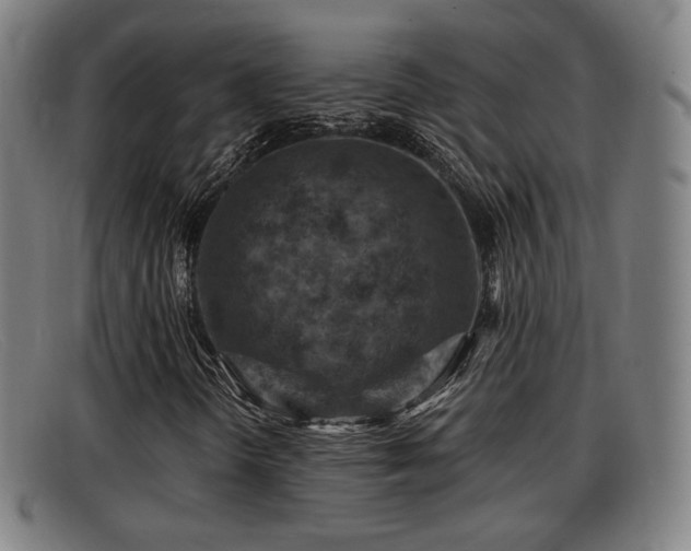X0000091851298200709121303