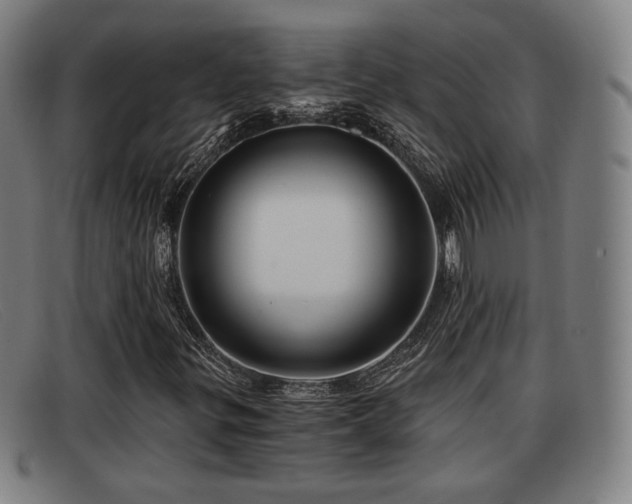 X0000091851299200709121303