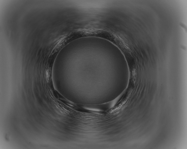 X0000091851300200709121303