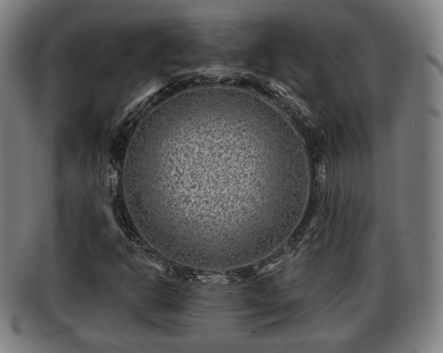 X0000091851302200709121303