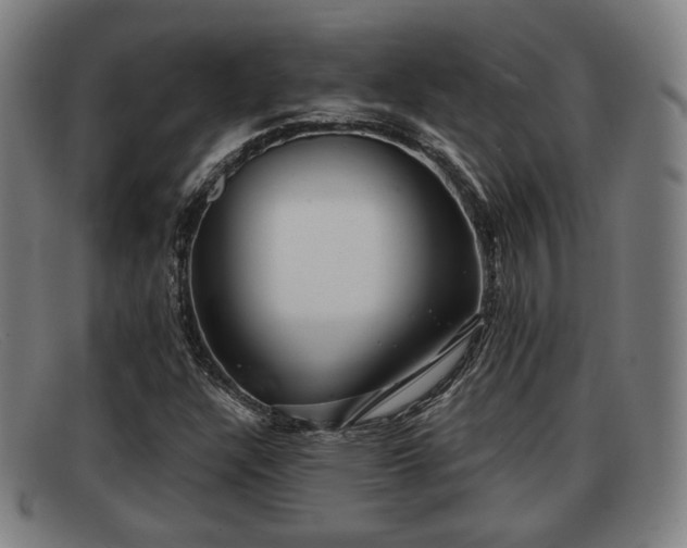 X0000091851304200709121303