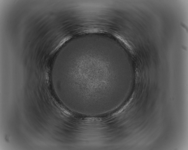 X0000091851305200709121303
