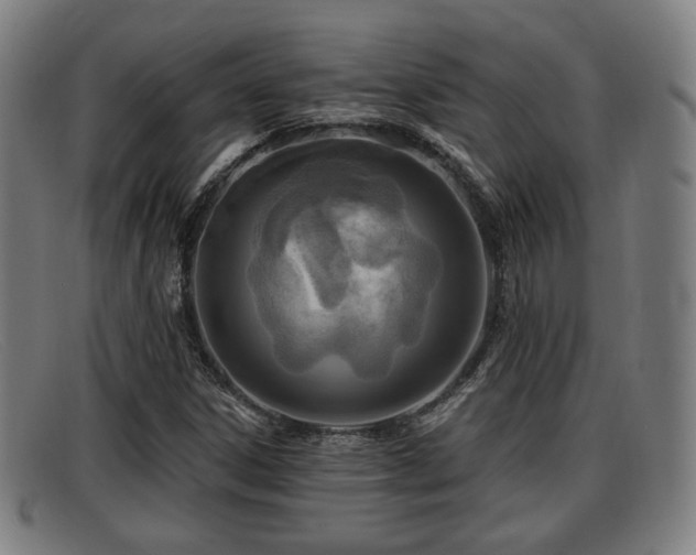 X0000091851306200709121303