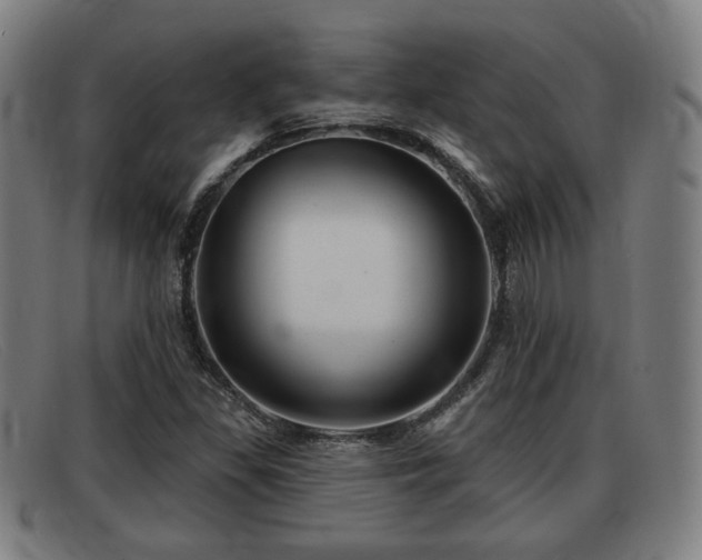 X0000091851309200709121303