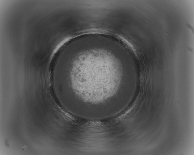 X0000091851310200709121303