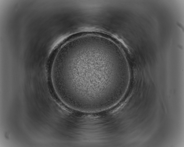 X0000091851311200709121303