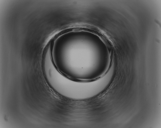 X0000091851312200709121303