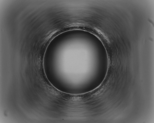 X0000091851313200709121303