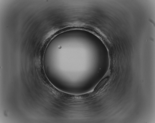 X0000091851315200709121303