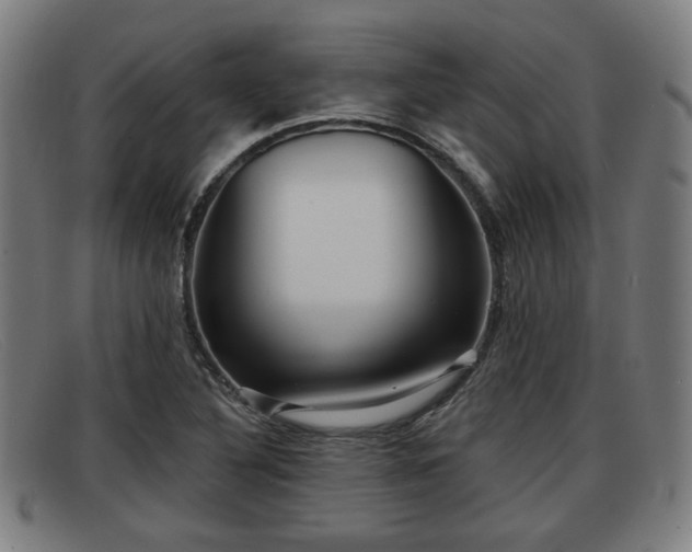 X0000091851316200709121303