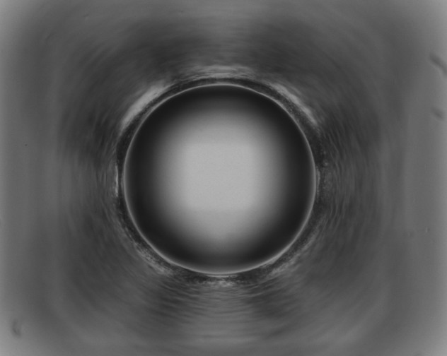 X0000091851317200709121303