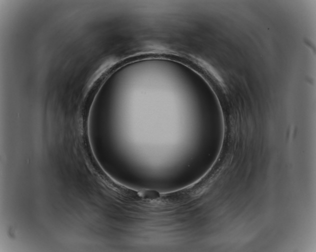 X0000091851318200709121303
