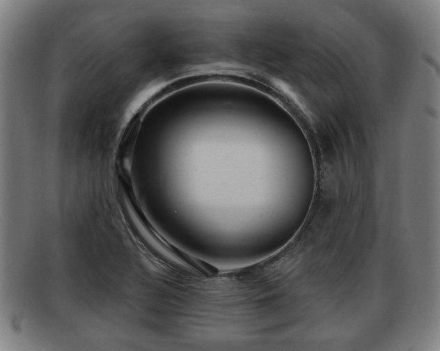X0000091851320200709121303