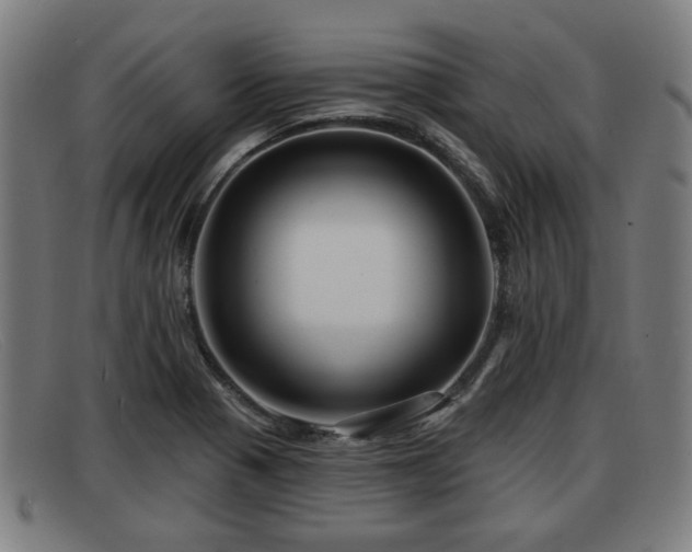 X0000091851321200709121303