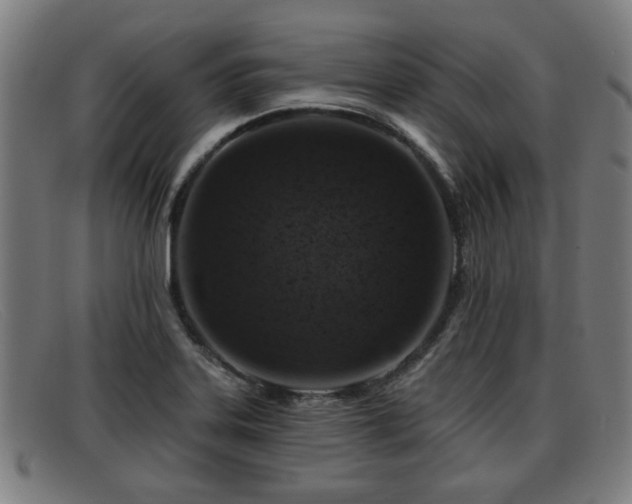 X0000091851323200709121303