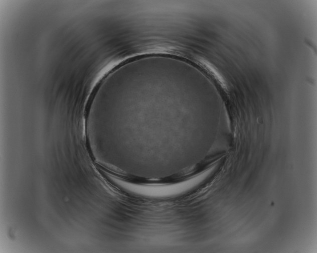 X0000091851324200709121303