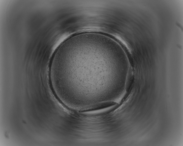 X0000091851325200709121303