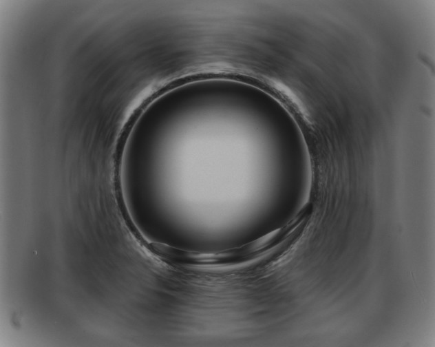 X0000091851326200709121303