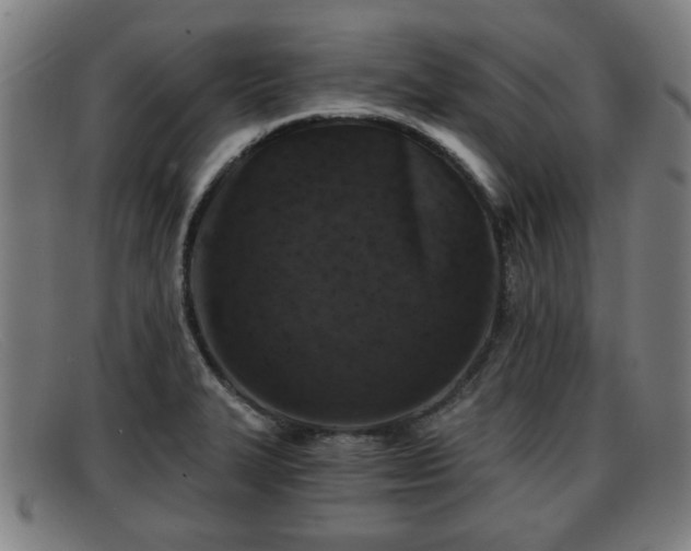 X0000091851327200709121303