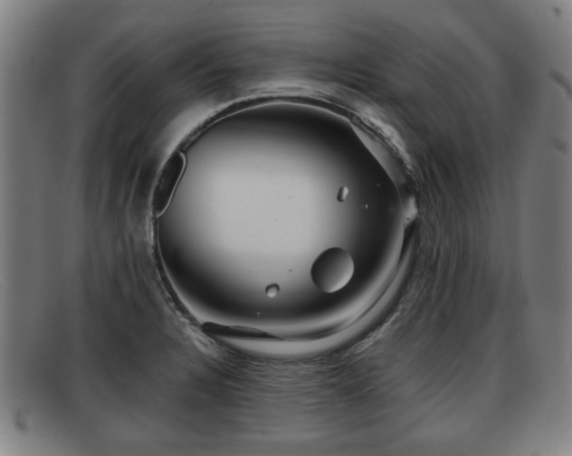 X0000091851328200709121303