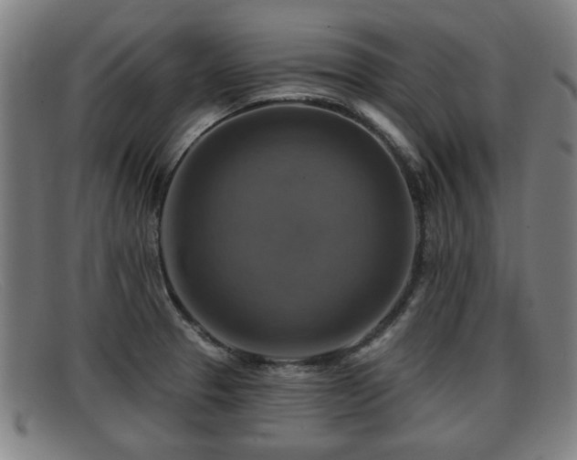 X0000091851329200709121303