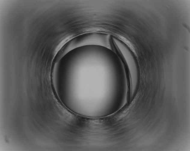 X0000091851330200709121303