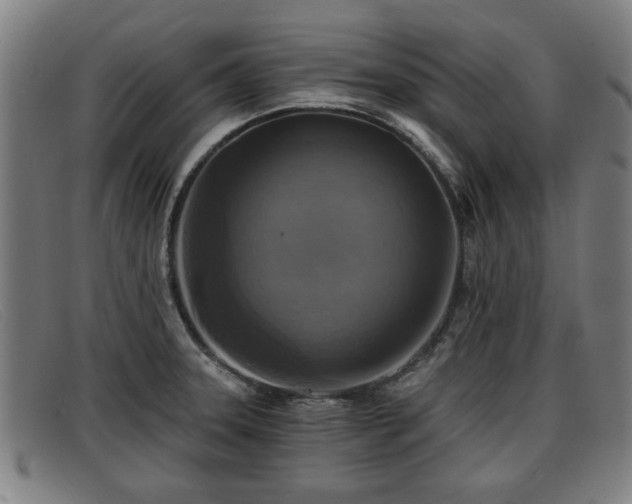 X0000091851331200709121303