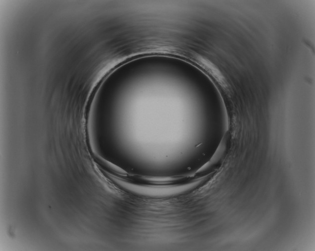 X0000091851332200709121303