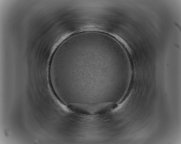 X0000091851333200709121303