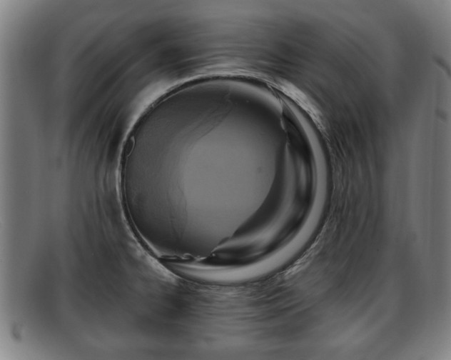X0000091851334200709121303