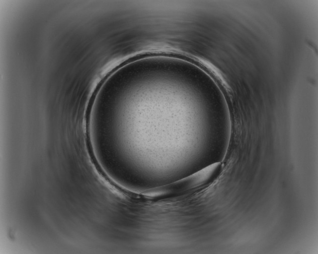 X0000091851335200709121303