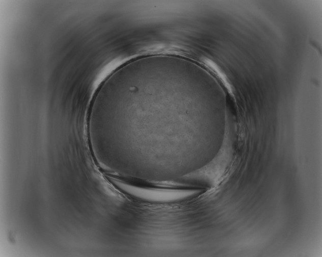 X0000091851336200709121303