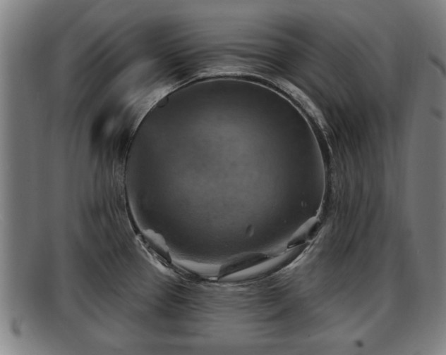 X0000091851337200709121303