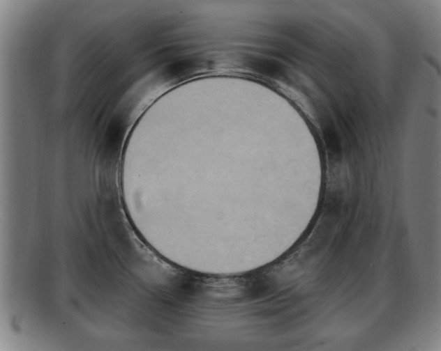 X0000091851338200709121303