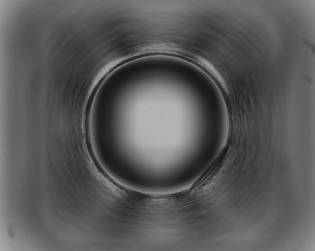 X0000091851339200709121303