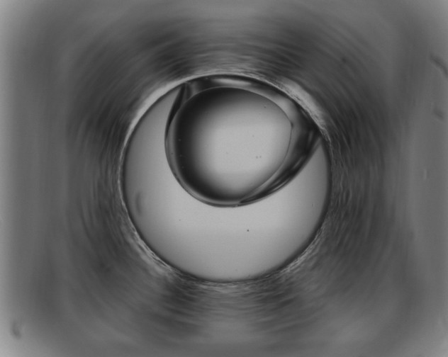 X0000091851340200709121303