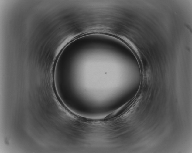 X0000091851341200709121303