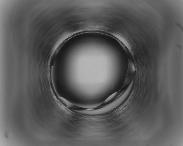 X0000091851342200709121303