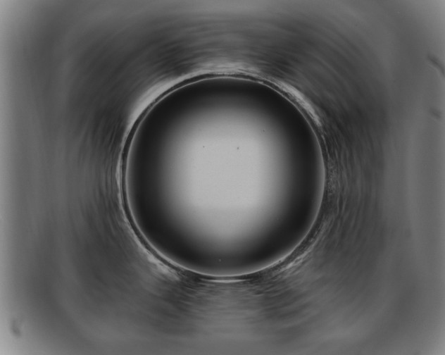 X0000091851343200709121303