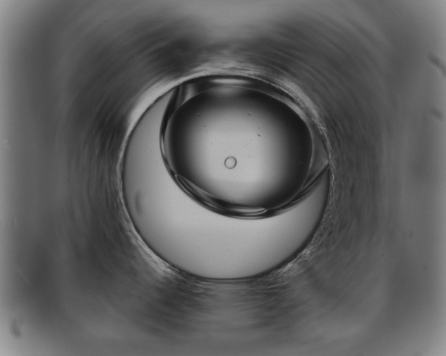 X0000091851344200709121303
