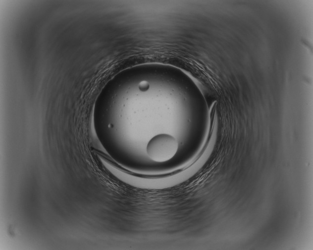 X0000091851345200709121303