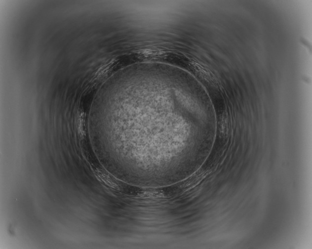X0000091851346200709121303
