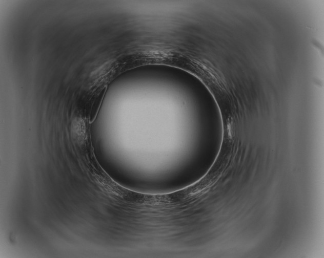 X0000091851347200709121303