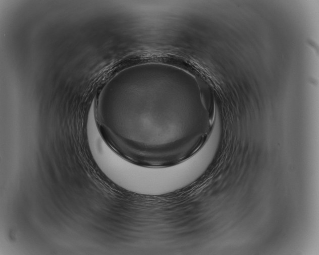 X0000091851348200709121302